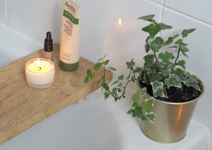 3 Easy Ways to Makeover your Bathroom on a Budget using plants