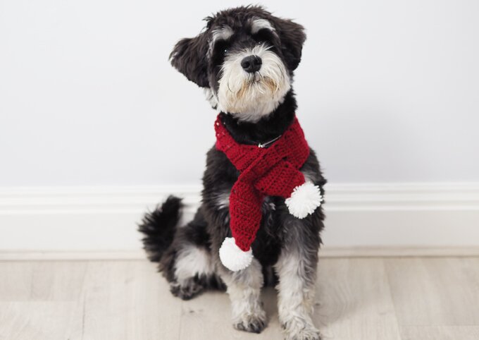 DIY | Doggie Christmas Pet Scarf #MadeUpFestive